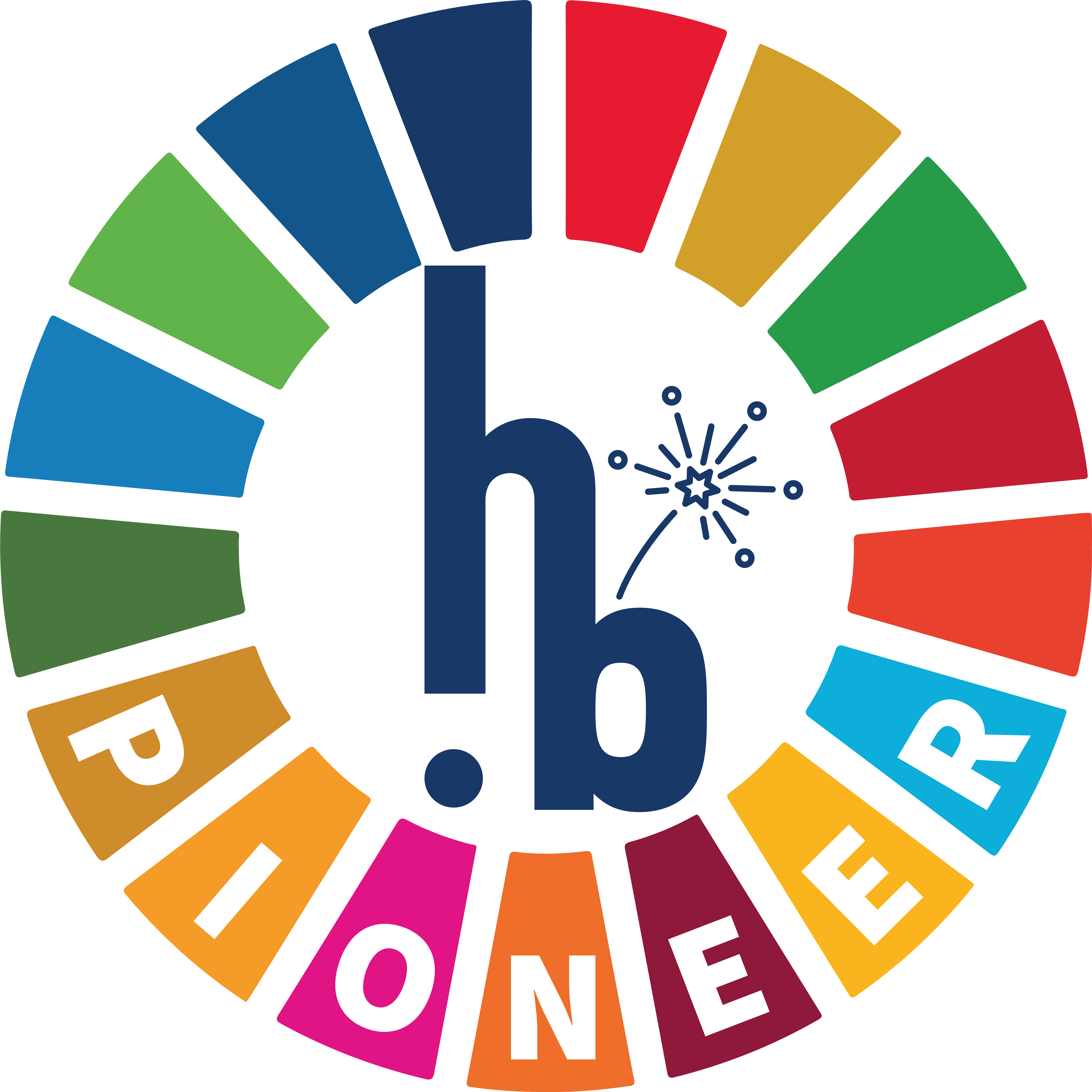 SDG cirkel met logo 
